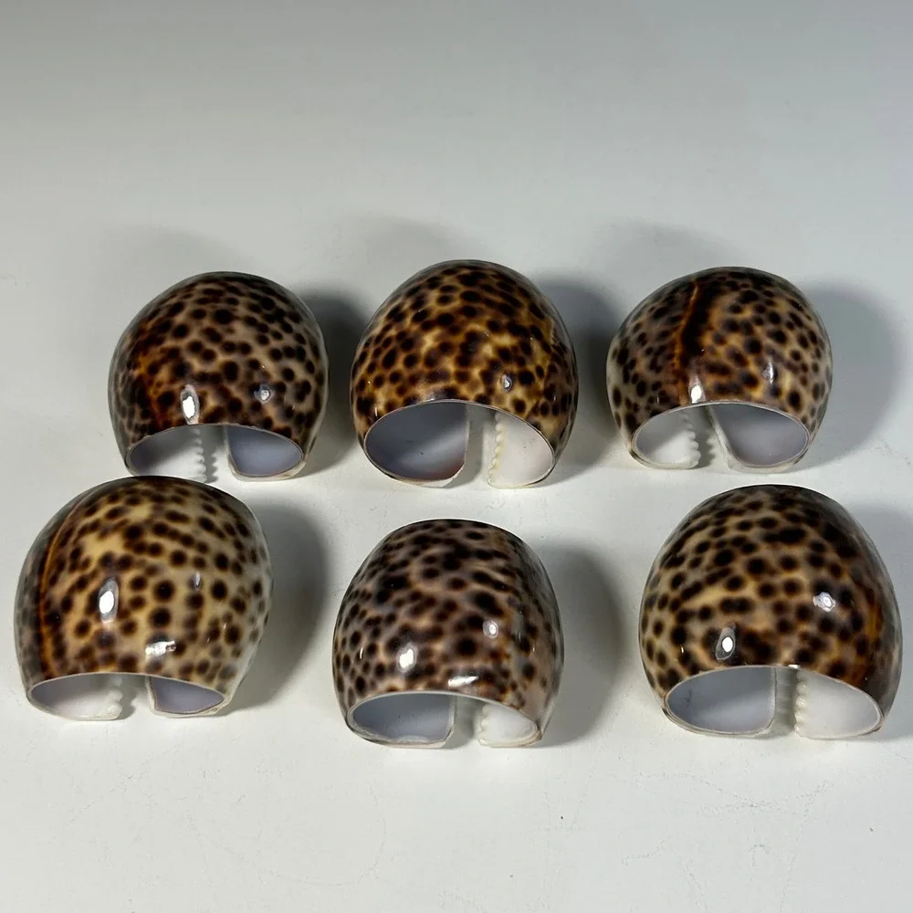 Vintage Tiger Cowrie Shell Napkin Rings Set of 6 Coastal Nautical Table Decor
